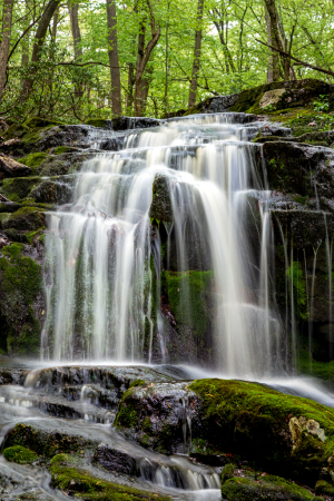 A serene waterfall cascades over moss-covered rocks, surrounded by lush greenery.
