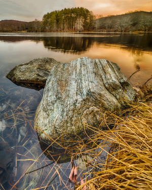 A weathered rock partially submerged in calm water, surrounded by tall grass and trees in the distance.