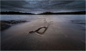 A tranquil scene of a calm lake with a single branch partially submerged in the water.