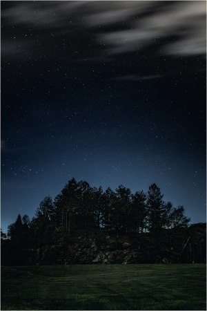 A foreboding landscape shrouded in night, trees silhouetted against a cosmic abyss.