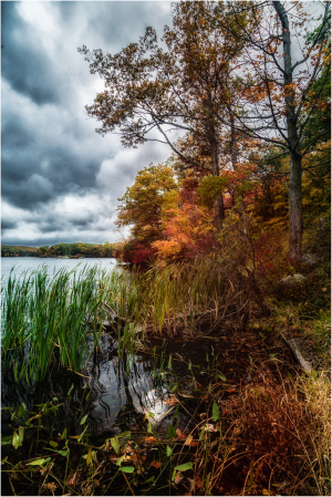 A serene lakeside scene with autumn foliage and dramatic clouds overhead.