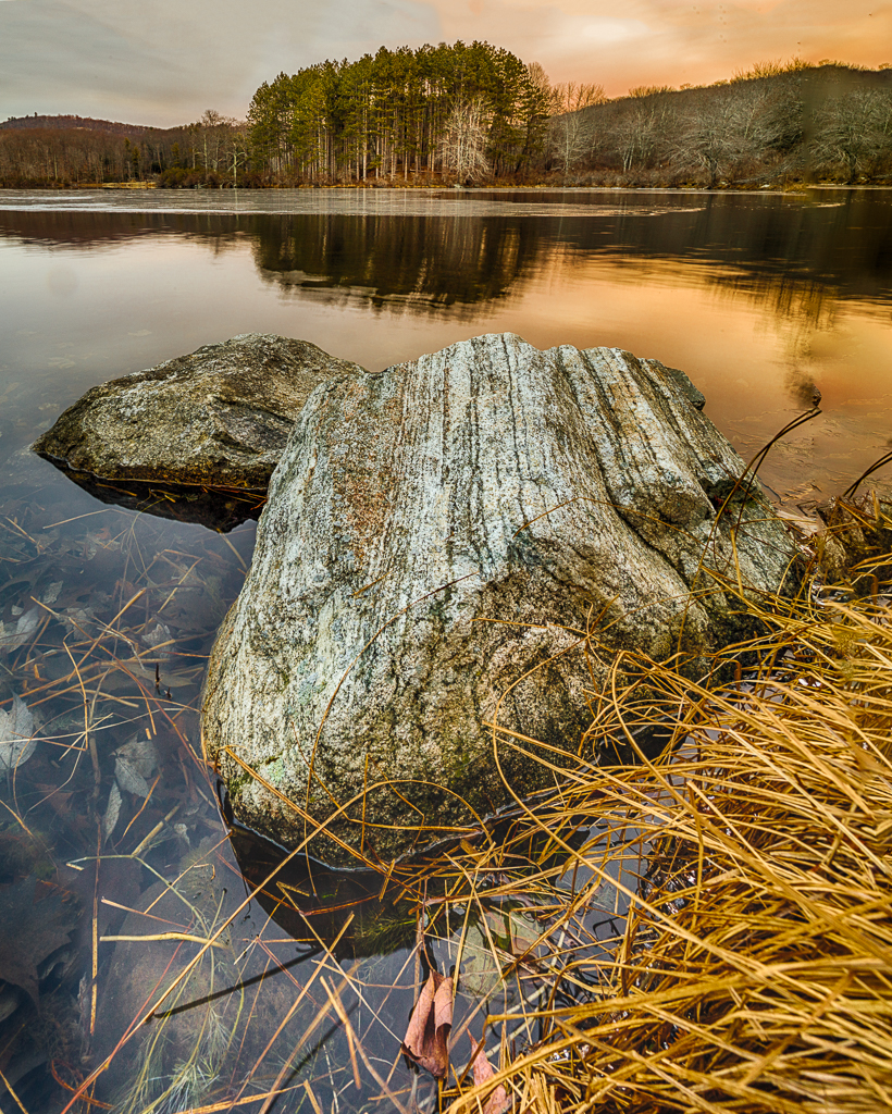 A weathered rock partially submerged in calm water, surrounded by tall grass and trees in the distance.