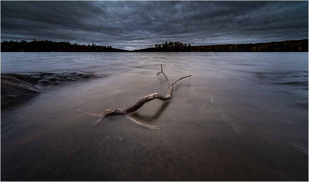 A tranquil scene of a calm lake with a single branch partially submerged in the water.