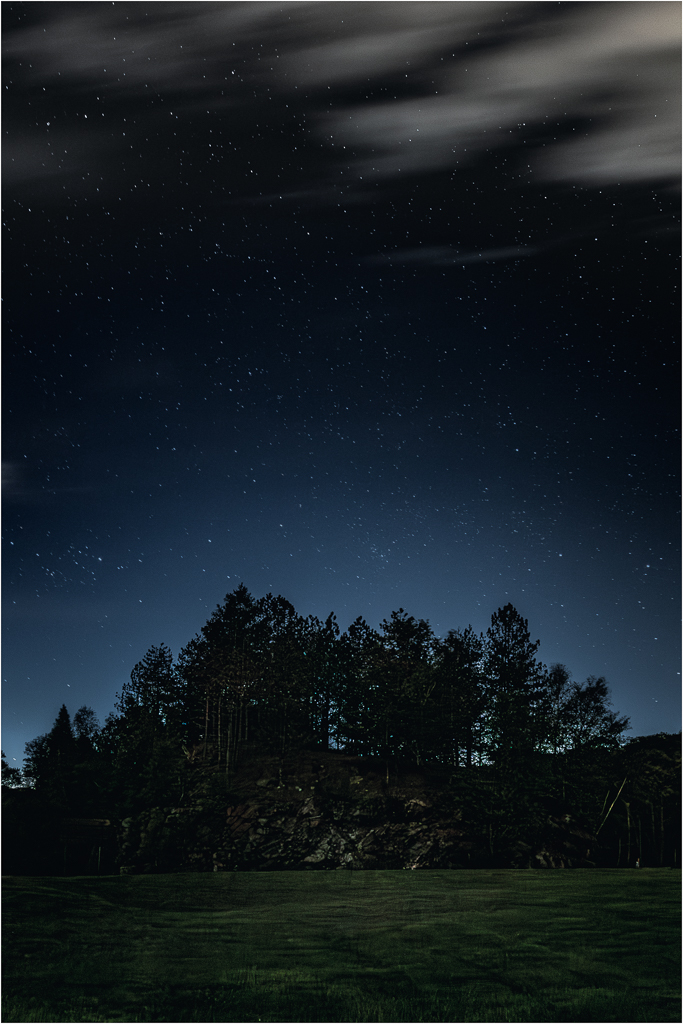 A foreboding landscape shrouded in night, trees silhouetted against a cosmic abyss.