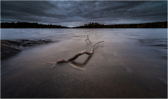 A tranquil scene of a calm lake with a single branch partially submerged in the water.