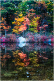 Vibrant autumn foliage reflects on a tranquil lake surface.
