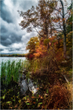 A serene lakeside scene with autumn foliage and dramatic clouds overhead.