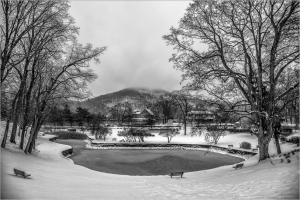 Pond park in snow