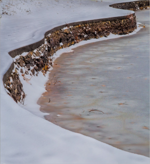 Icy pond
