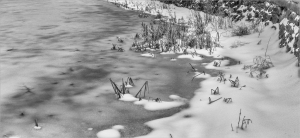Frozen shore