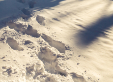 hillburn-11