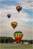 4 balloons lifting off