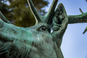 Close-up of a bronze deer sculpture, capturing its intense gaze and textured antlers.