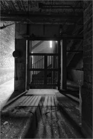 Light Shadows