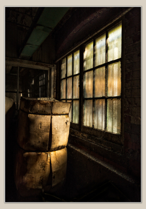 Morning light