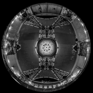 Fisheye sees all