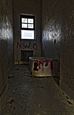 Abandoned bath Letchworth Village