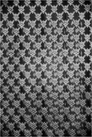A textured pattern of interlocking floral shapes in black and white.