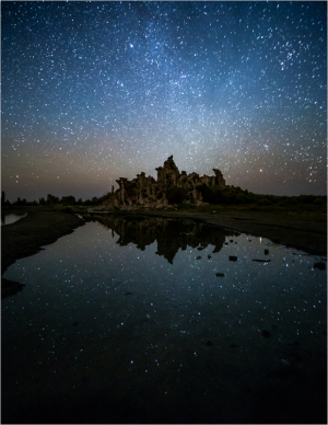 Stars