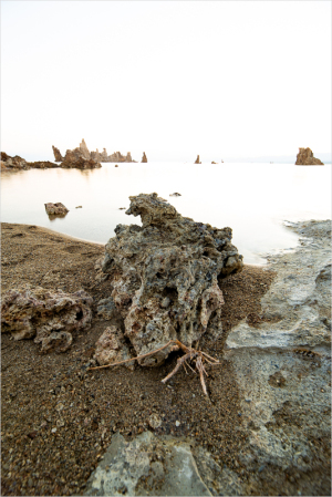 Morning on  Mono Lake