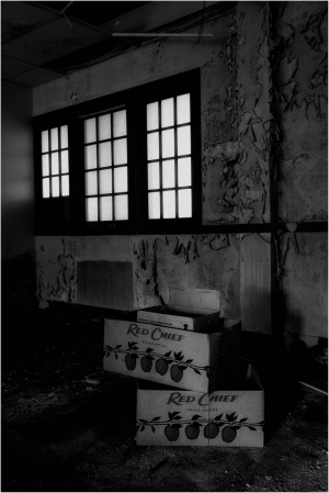 Two boxes with fruit designs sit in a dim room with large windows letting in soft light.
