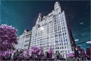 NYC infrared scene