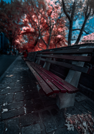City bench