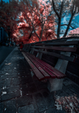 City bench