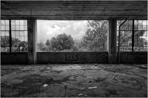 Window