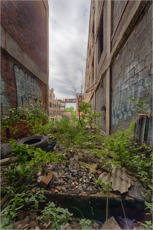 debris