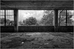 Window