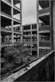 Abandoned building interior with exposed concrete and overgrown greenery.