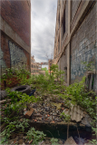 debris