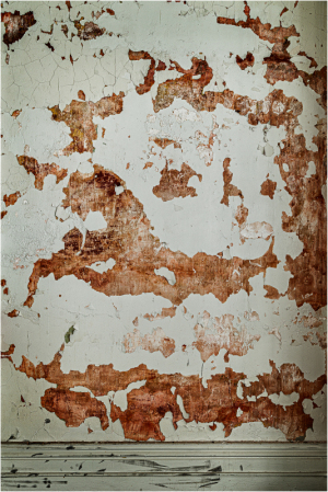 Peeling paint looks like flesh underneath