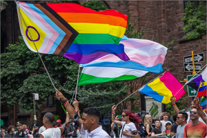 A vibrant display of pride flags waved by a diverse crowd.