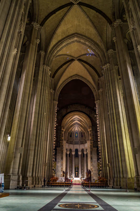 Saint John The Divine Cathedral - Ronny Mariano