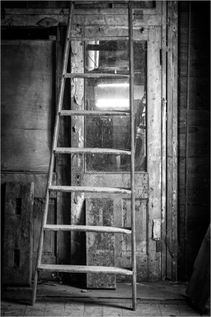 A weathered ladder leans against an old door, dimly lit by ambient light. Shadows dance across wooden textures.