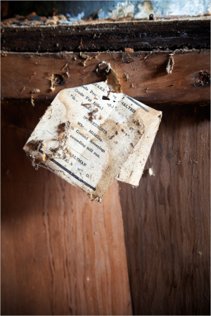 Faded paper clinging to weathered wood, full of secrets and stories.