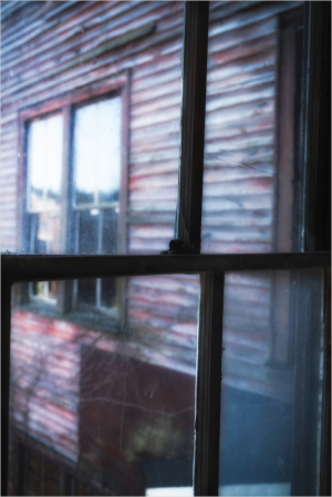 Window