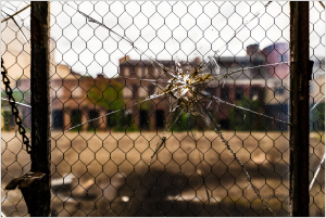 A cracked, webbed pane frames a desolate courtyard, whispers of time linger.