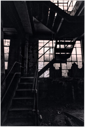 A staircase spirals upward in an abandoned building, shrouded in moody shadows.