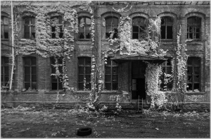 A surreal tableau of decaying bricks entwined with ghostly vines and whispers of history.