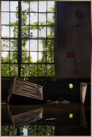 Decaying furniture reflects in stagnant water, light filters through overgrown windows.