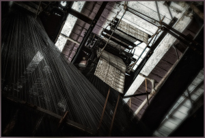Intricate lace filaments intertwining within a decaying structure, whispers of forgotten beauty.