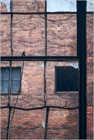 Old brick walls framed by broken windows, capturing urban decay.