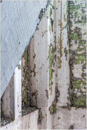 Peeling paint on white walls with green patches in an abandoned building.
