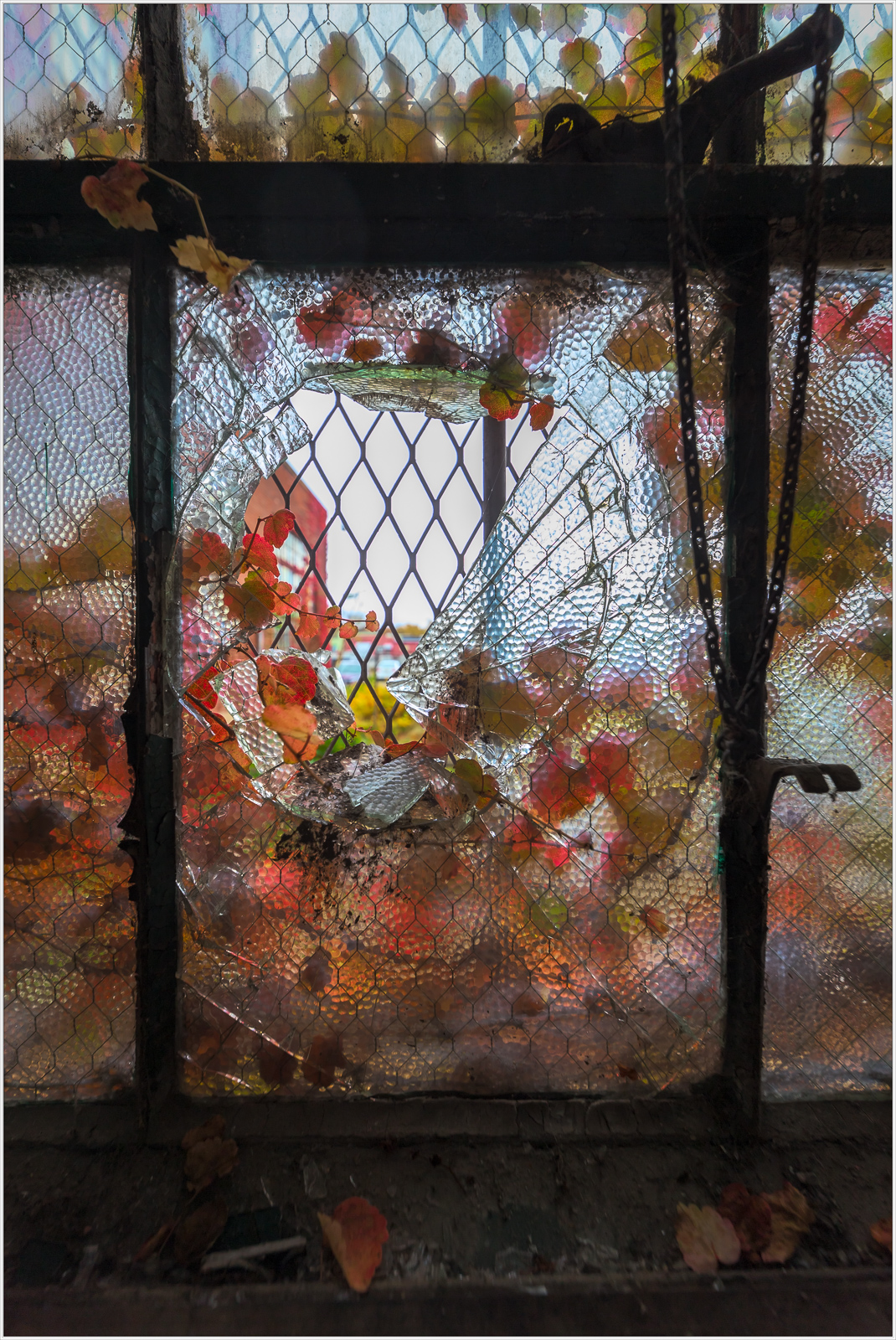 A weathered window covered in leaves and grime, revealing a blurred outside world.