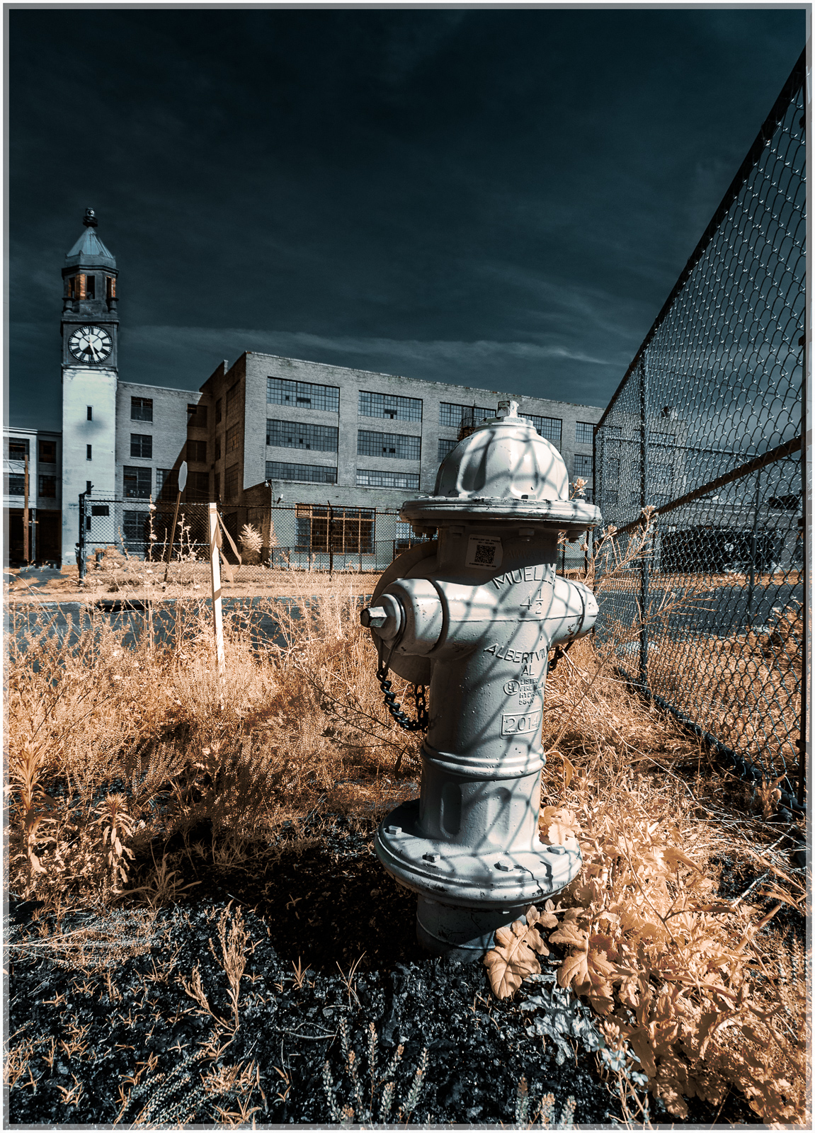 A vibrant fire hydrant stands out in an overgrown field, clock tower visible behind.
