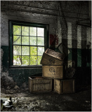 Abandoned crates lean against a sunlit window, revealing nature's embrace.