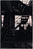 A staircase spirals upward in an abandoned building, shrouded in moody shadows.
